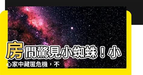 房間出現蜘蛛代表|如何解讀家中小蜘蛛？6大風水妙招公開